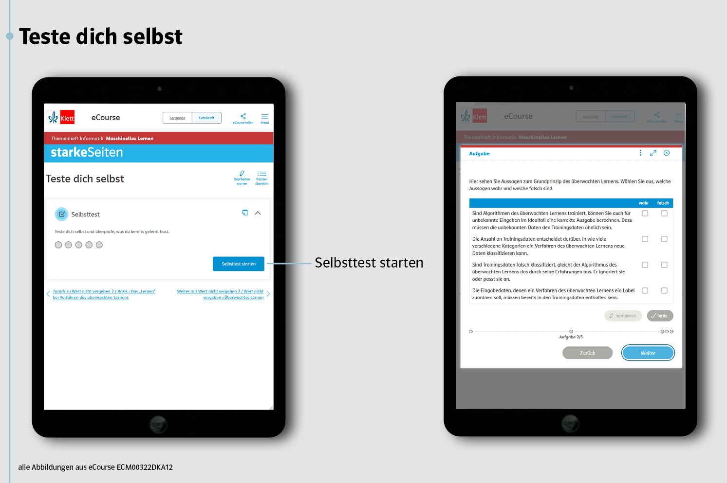 Beispielhafte Darstellung eines Selbsttests