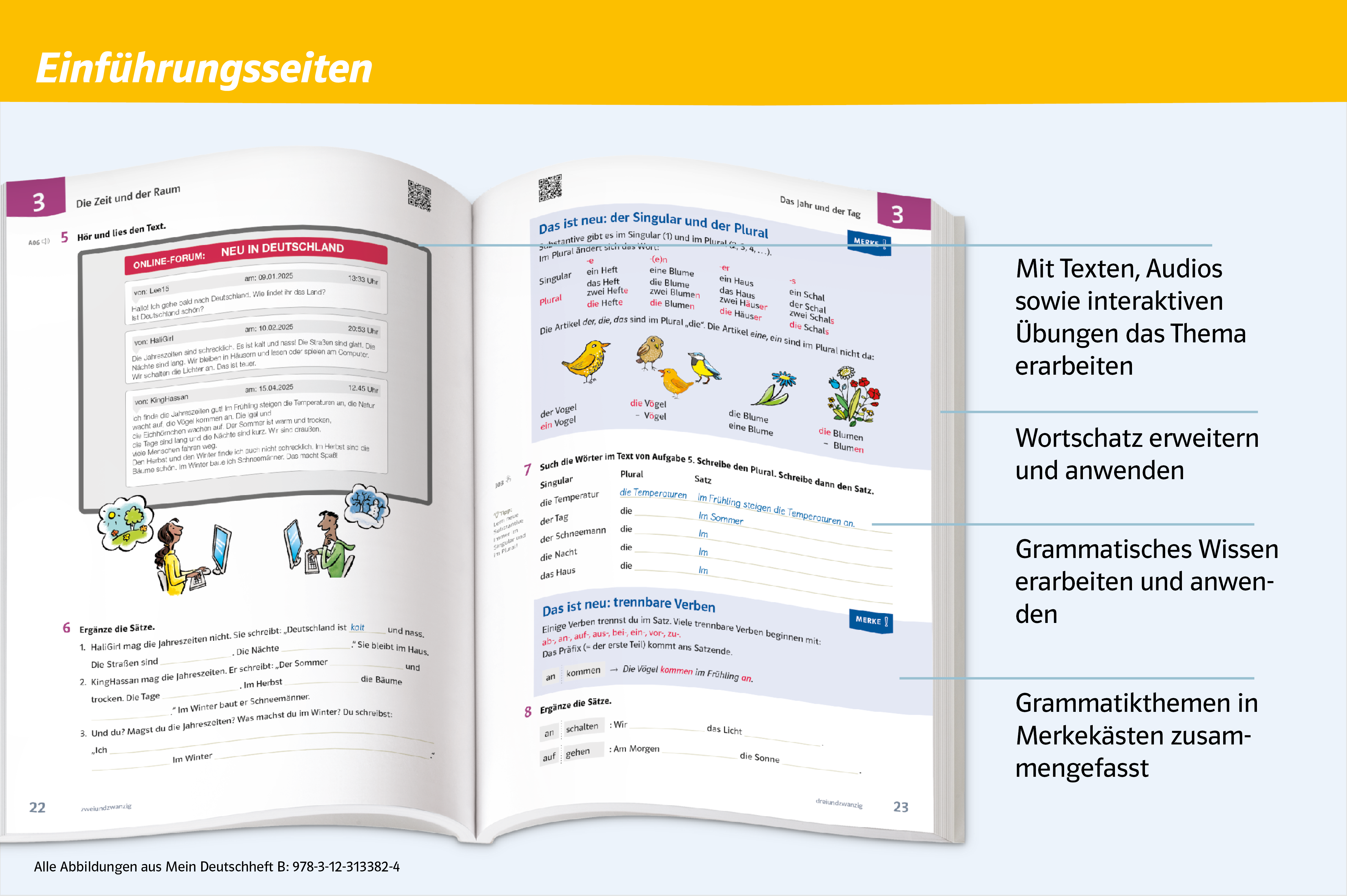 Beispielhafte Darstellung der Einführungsseiten 