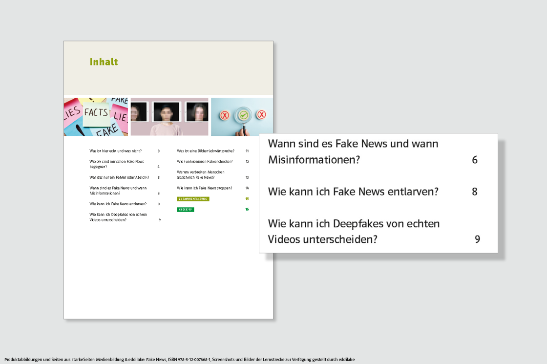 beispielhafte Darstellung des Inhaltsverzeichnisses